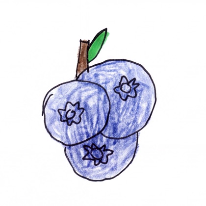 Kid's crayon drawing of blueberries